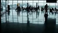 car with driver Malpensa airport